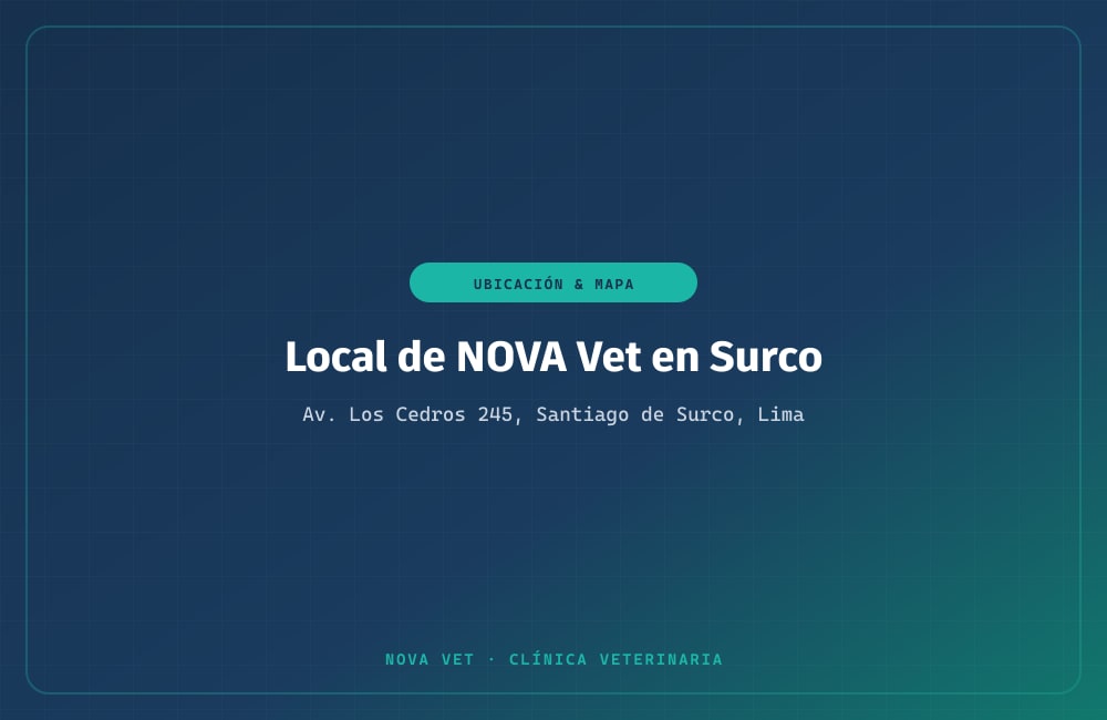 Local de NOVA Vet en Santiago de Surco