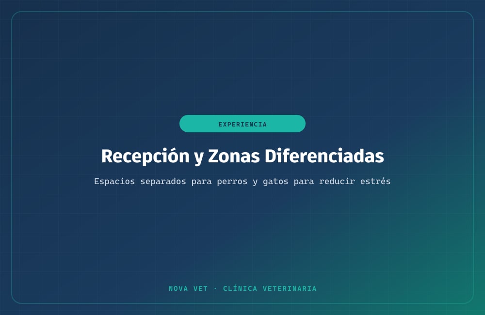 Recepción y sala de espera de NOVA Vet